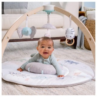 Aden + Anais Play And Discover Baby Activity Gym– Plush Tummy Time Pillow